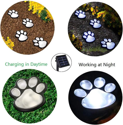 Moderndition ™ - Paw Print Solar Lights